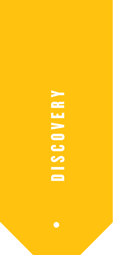 Discovery in white on yellow tag 